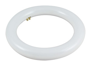 81.548/15/DIA  TUBO LED CIRCULAR 15W DIA 6500K