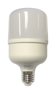 81.795/N/20/DIA  BOMBILLA LED ALTO VATAJE 20W E27 DIA